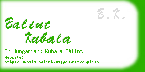 balint kubala business card